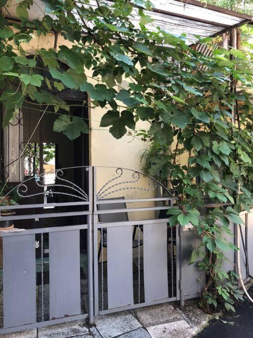 Nataly Apartament-old Center * Tbilisi